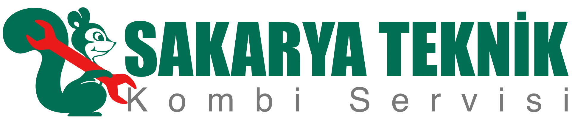 Sakarya Teknik